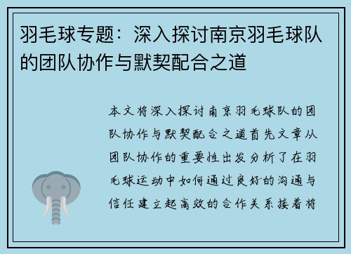 羽毛球专题：深入探讨南京羽毛球队的团队协作与默契配合之道
